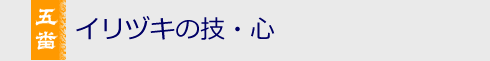 イリヅキの技・心