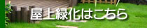 屋上緑化